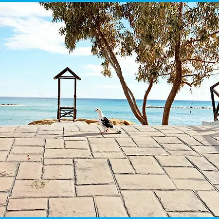Hotel Poseidonia 4*
