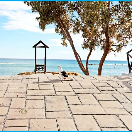فندق بوزيدونيا بيتش 4*